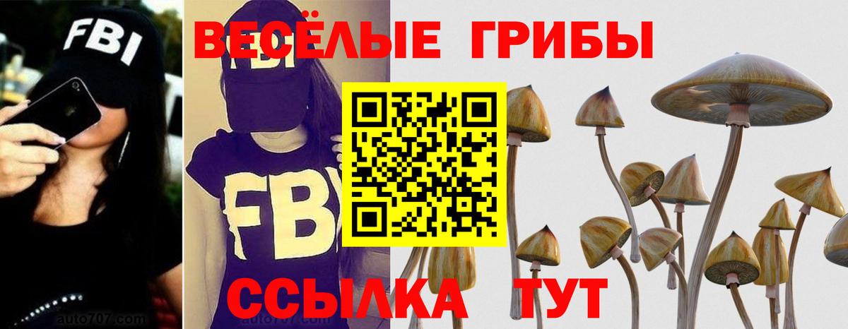 Псилоцибиновые грибы мухоморы  Вход с VPN  купить наркотик  Мурино 