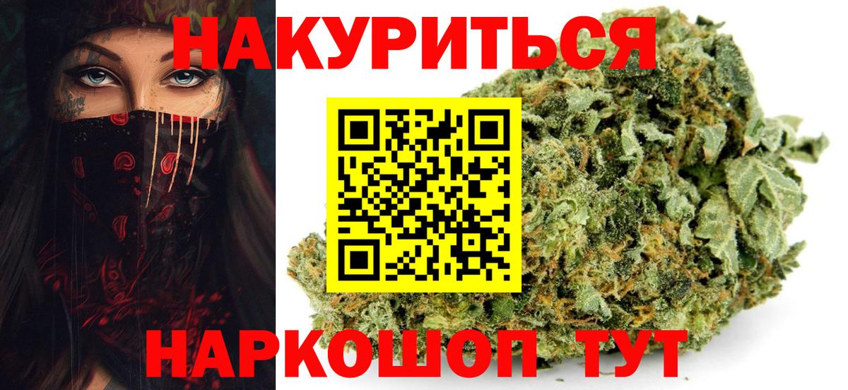 Бошки Шишки планчик  Каннабис сатива  МАРИХУАНА семена  Мурино  Вход с VPN  Каннабис Bruce Banner 
